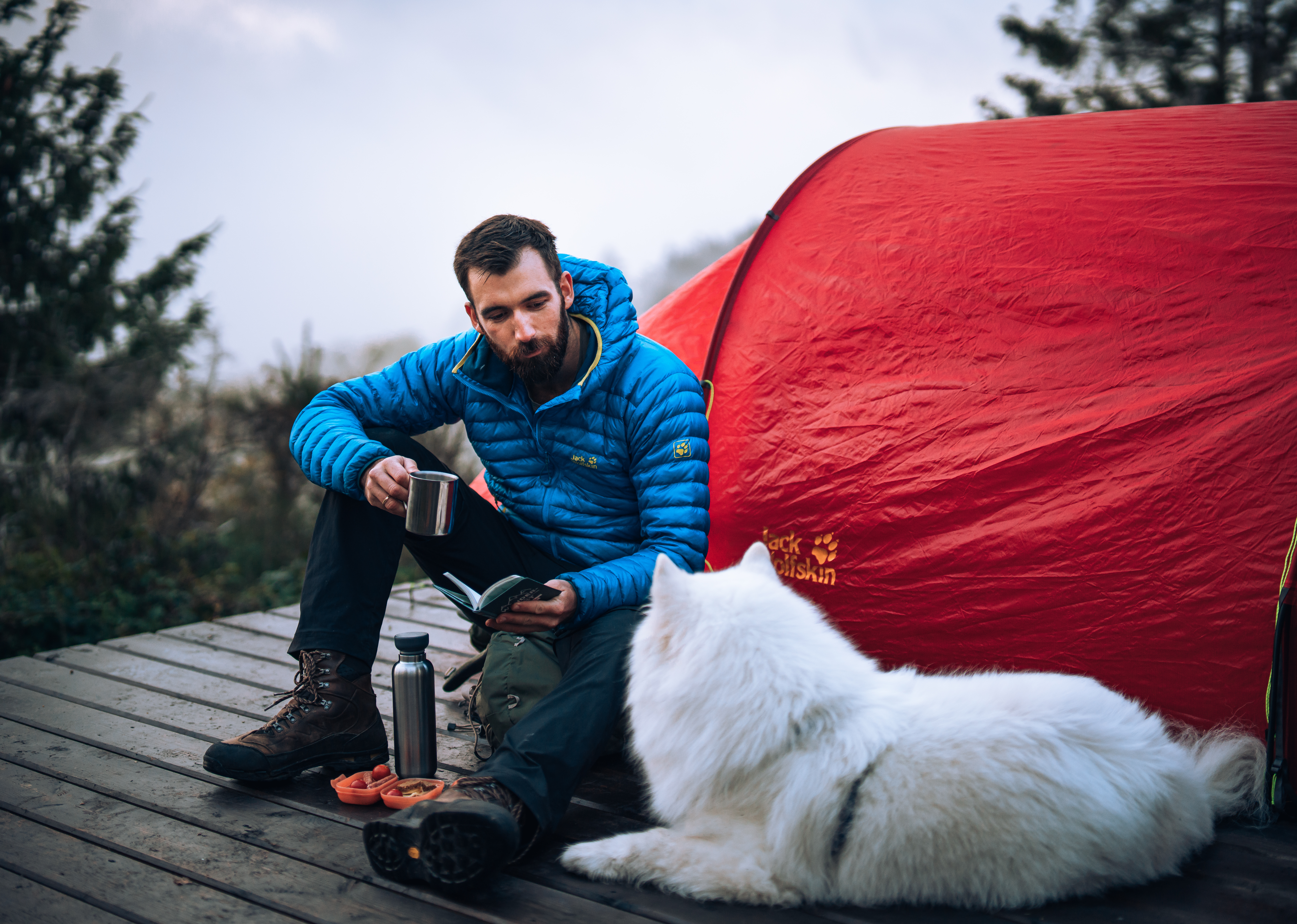 Camping mit Hund im Sauerland - Sauerland.com