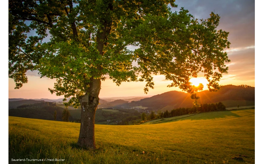 Sonnenuntergang über Sauerländer Landschaft im Frühling.