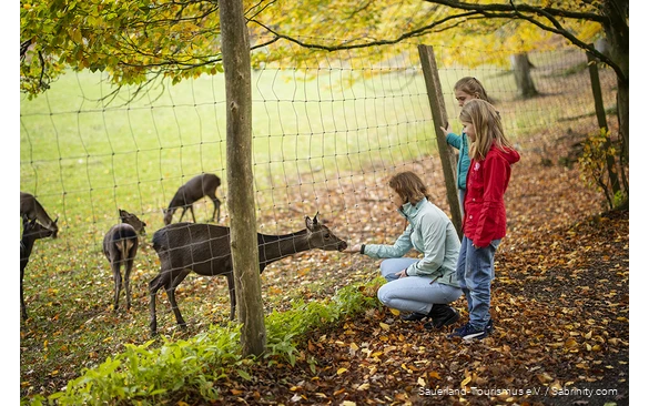 Moeder en twee kinderen kijken naar wild achter een hek. Moeder voert een hert.