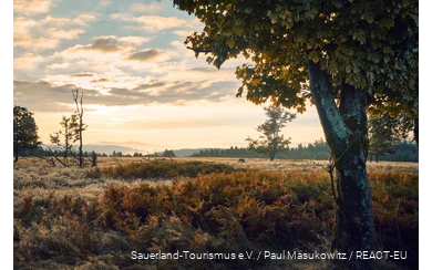 Uitzicht over het herfstlandschap van de Kahler Asten.