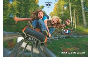 Jeweils zwei Personen fahren die Sommerrodelbahn hinab. Sie haben die Münder weit offen und die Arme in der Luft.