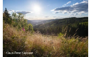 Ginsterkopf Panorama
