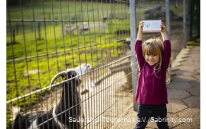 Mädchen hält neben einer Ziege Tierfutter hoch