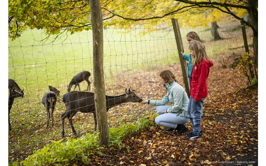 Mutter und zwei Kinder beobachten Wild hinter einem Zaun. Mutter füttert ein Reh.