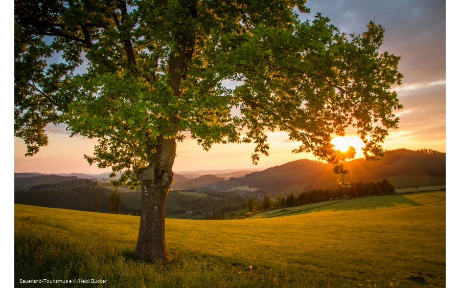 Sonnenuntergang über Sauerländer Landschaft im Frühling.
