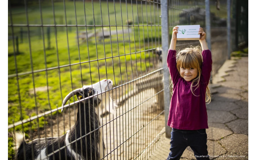 Girl holding up animal feed next to a goat
