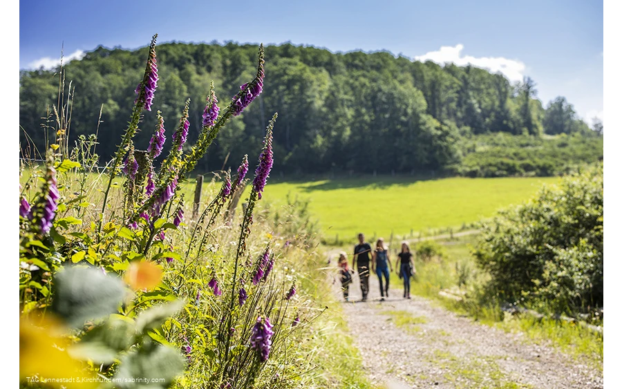 Hiking in Lennestadt and Kirchhundem