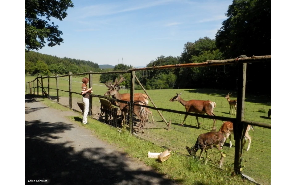 Wildgehege Dodenau