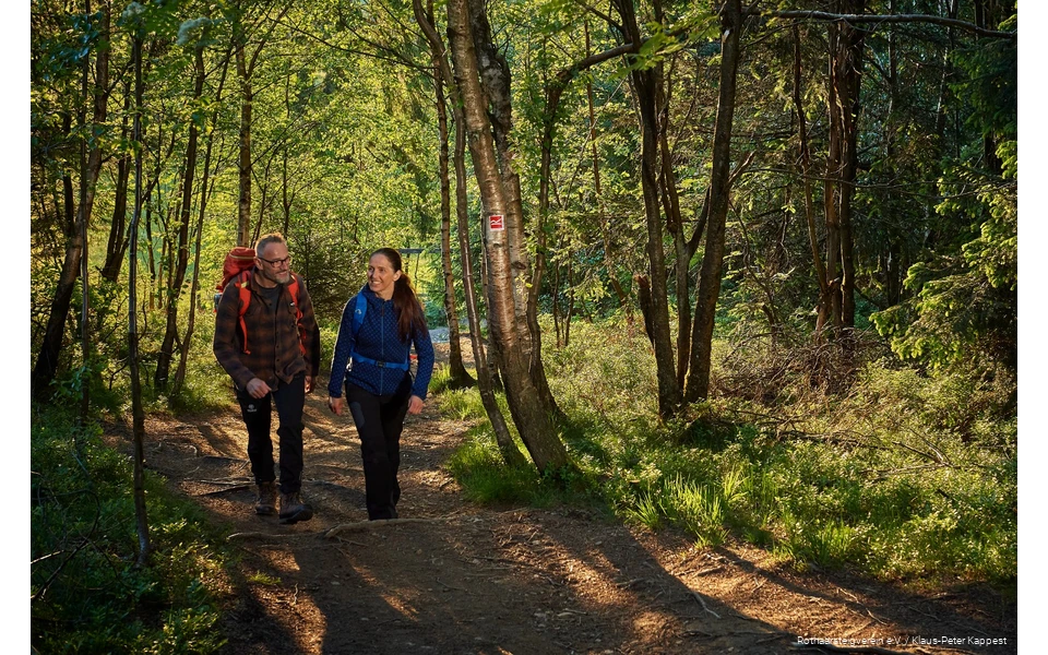 Ein Wanderpaar läuft über einen Pfad durch einen lichten Wald. Am Baum ist das Wegezeichen des Rothaarsteigs zu sehen.