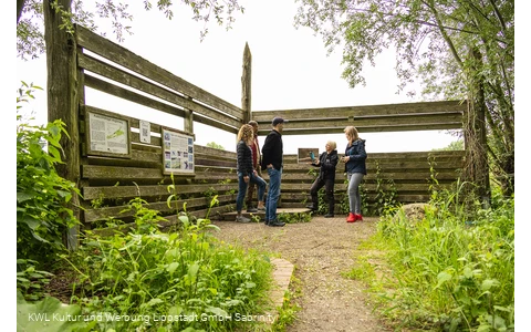 Lippeauen Aussichtspunkt Anglerweg