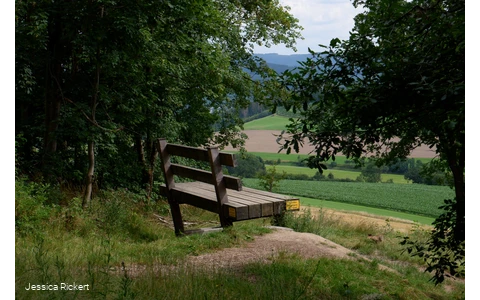 Riesen Bank bei Eversberg 1 © Jessica Rickert.jpg