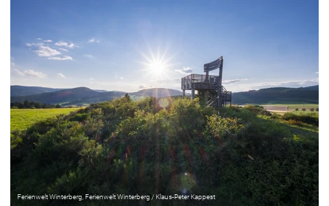 Ein Aussichtsturm in Form eines großen Holzstuhles auf einem bewaldeten Hügel vor blauem Himmel und Sonne inmitten von Wiesen und Wäldern.