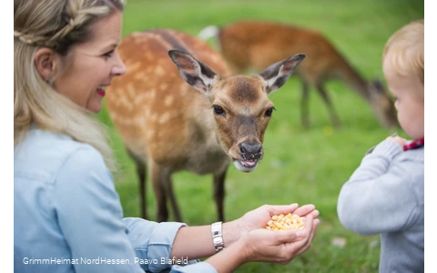 Wildpark Frankenberg (Eder)