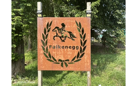 Falkenegg_Logo