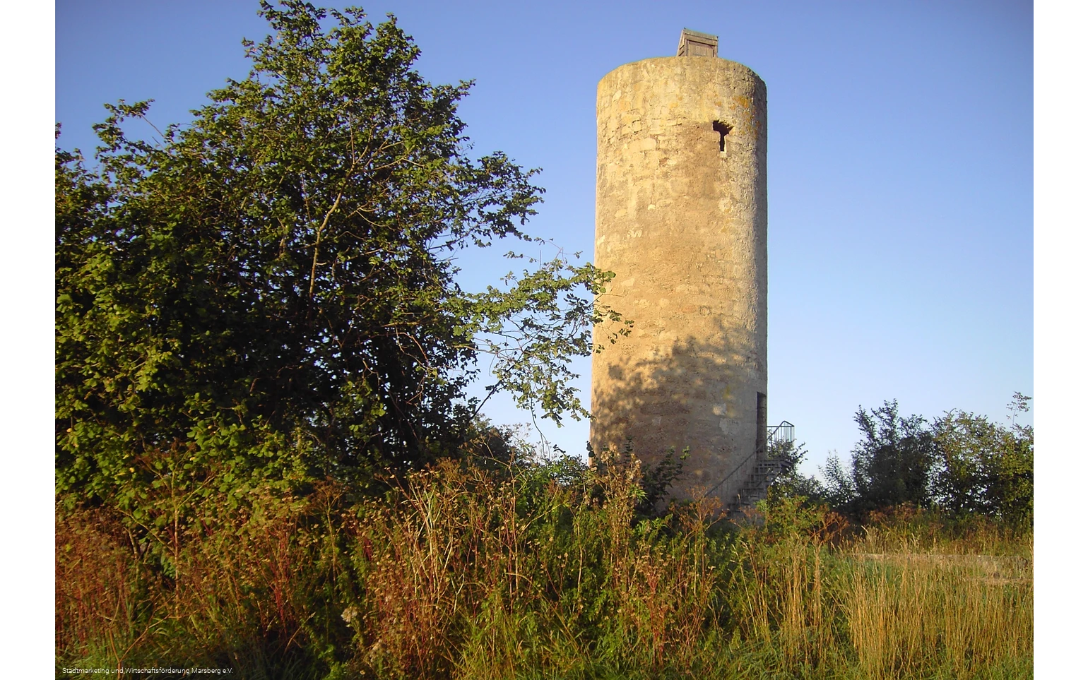 Donnersberger Warte (Mäuseturm)