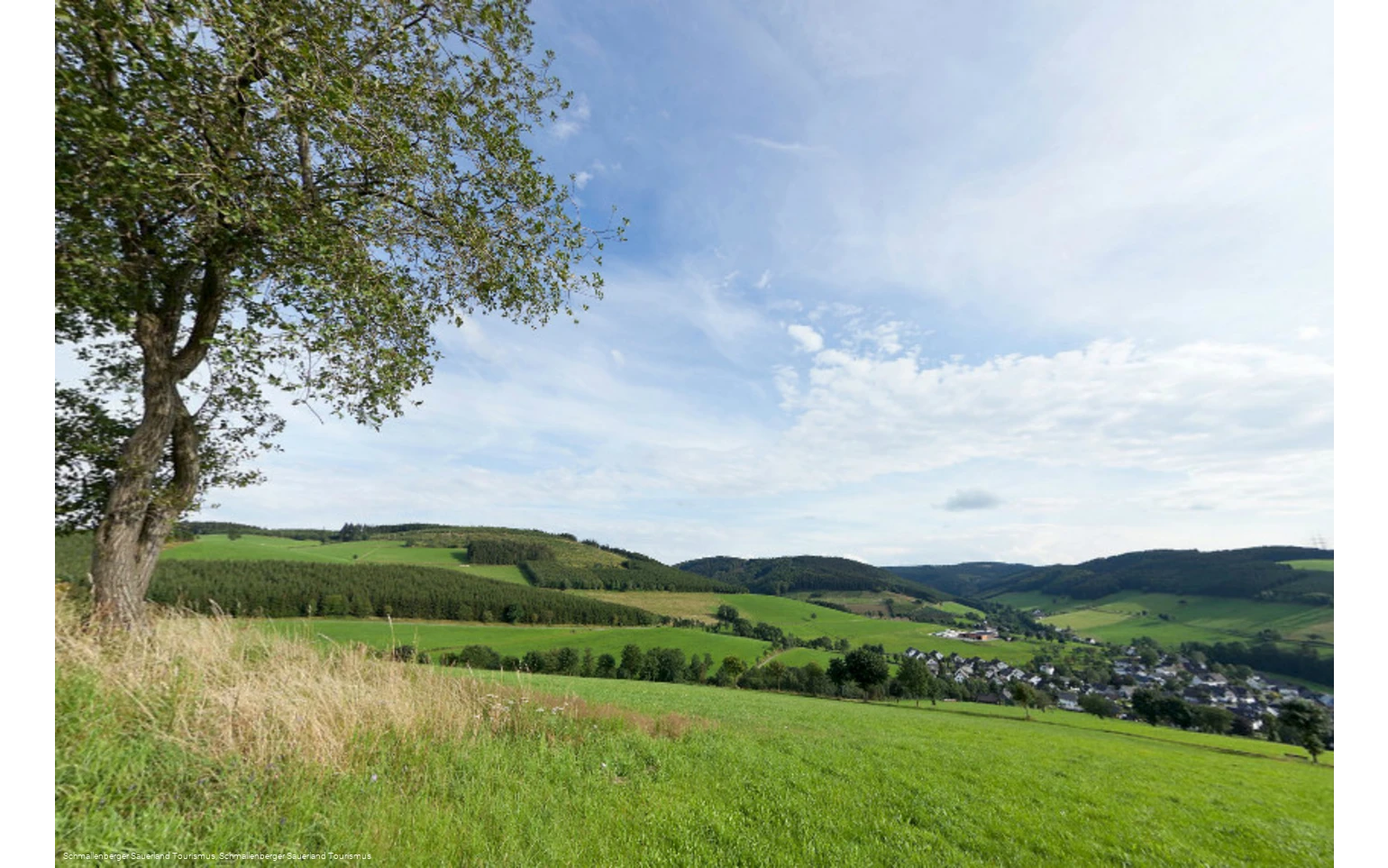 Aussichtspunkt - Auf dem Kreuz bei Oberhenneborn