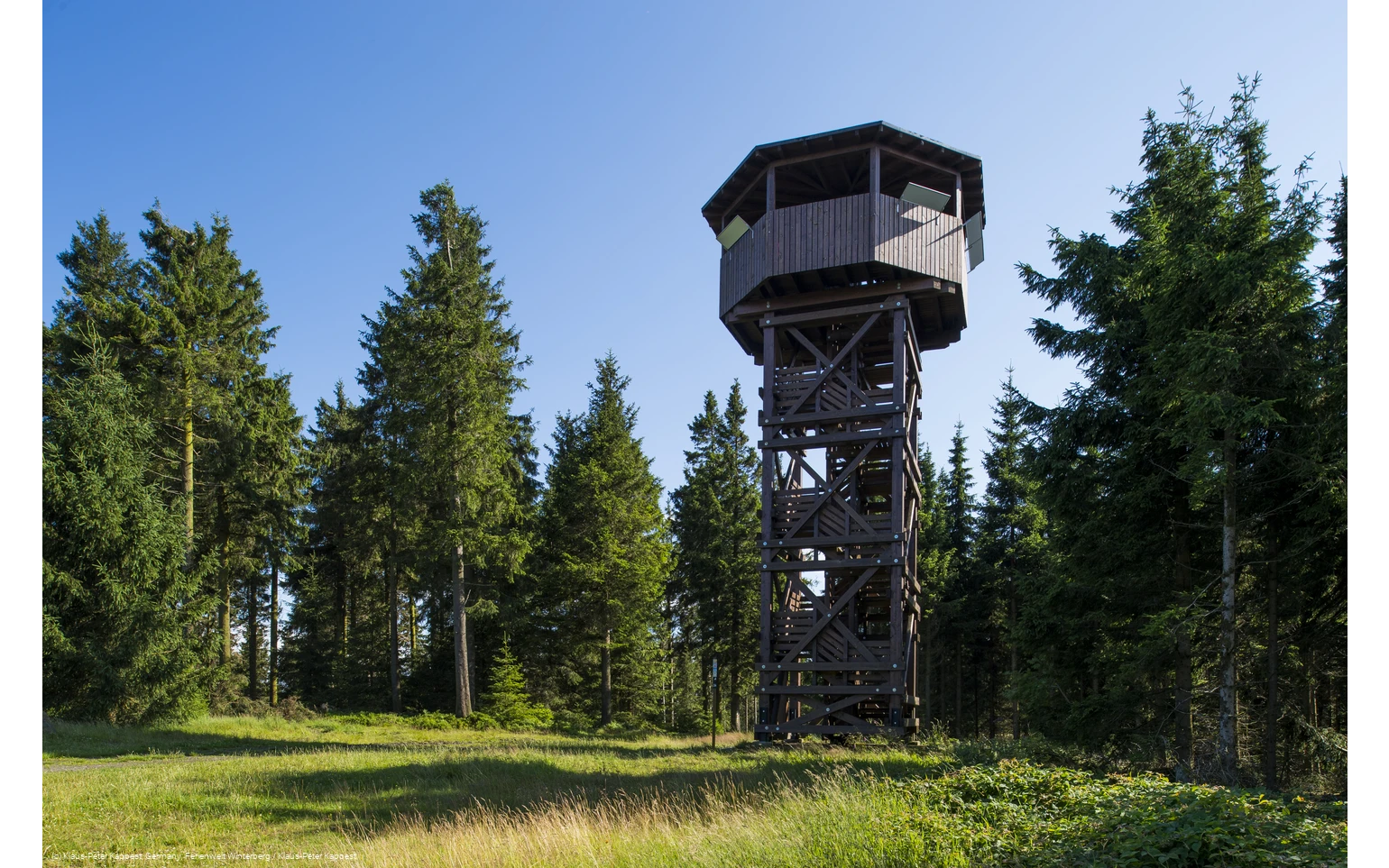 Ein Holzturm mit Dach inmitten von Tannen und einer Wiese.