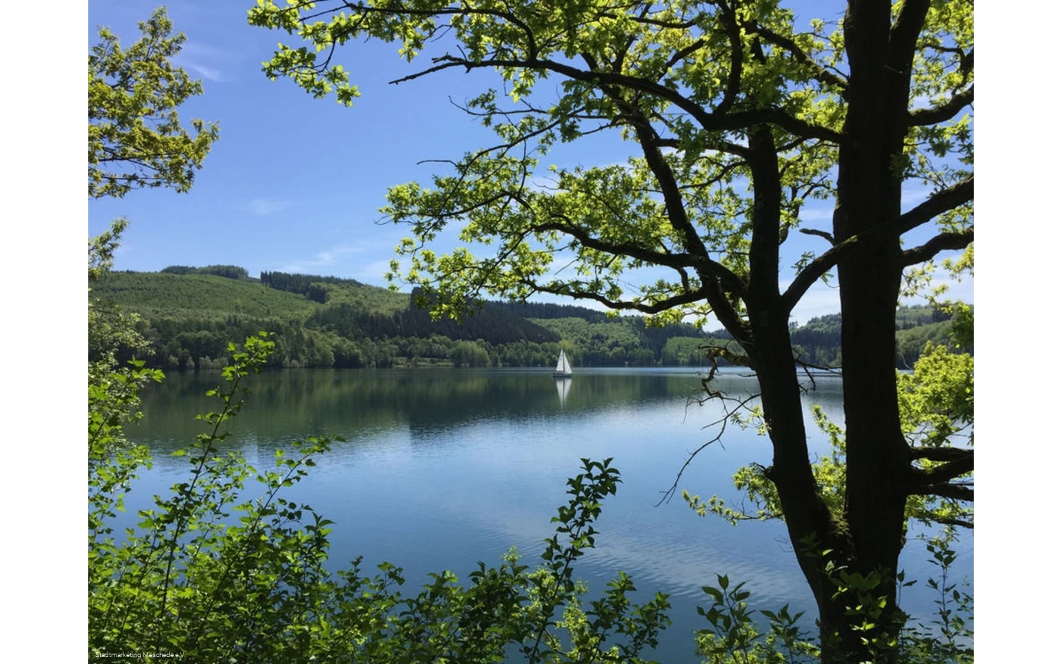 Hennesee
