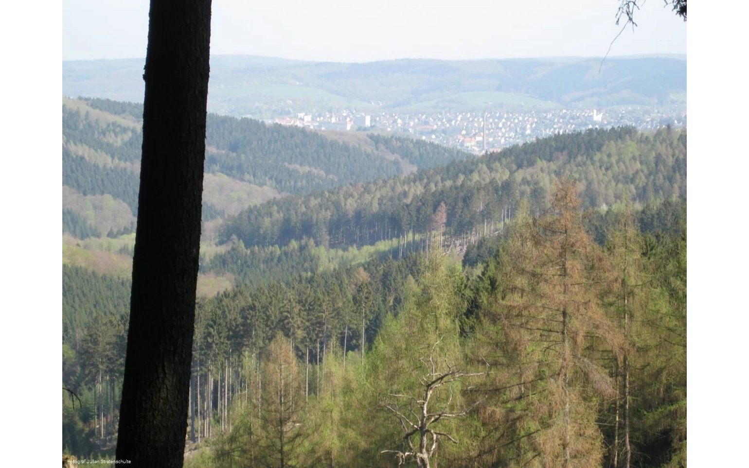Blick auf Arnsberg
