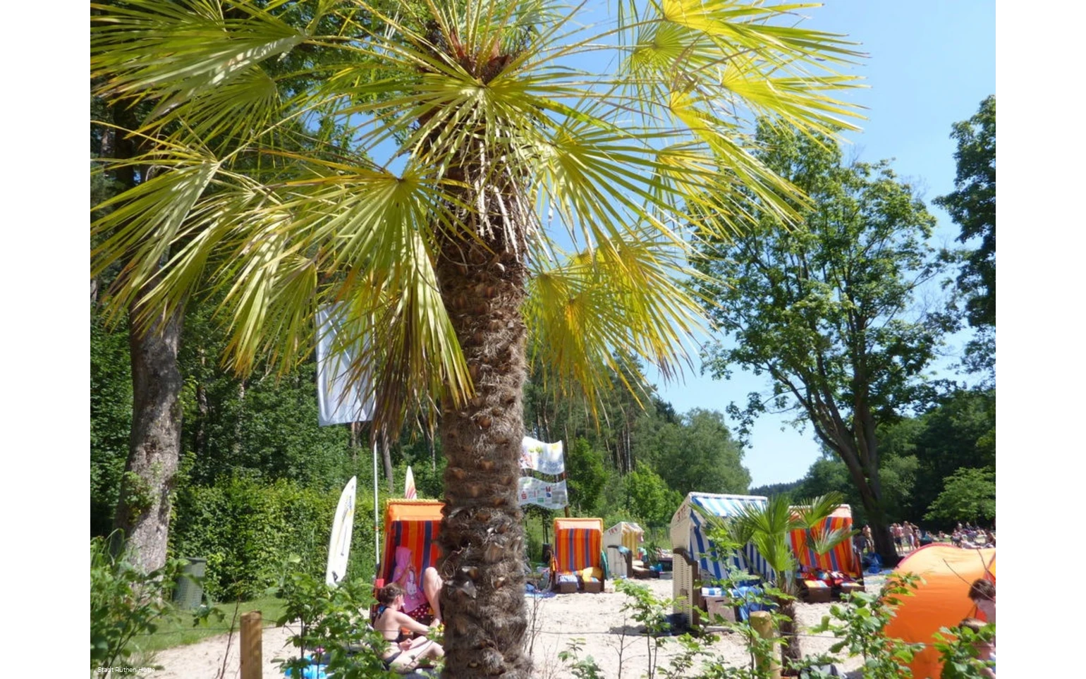 Strandlandschaft mit Palmen und Strandkörben von d