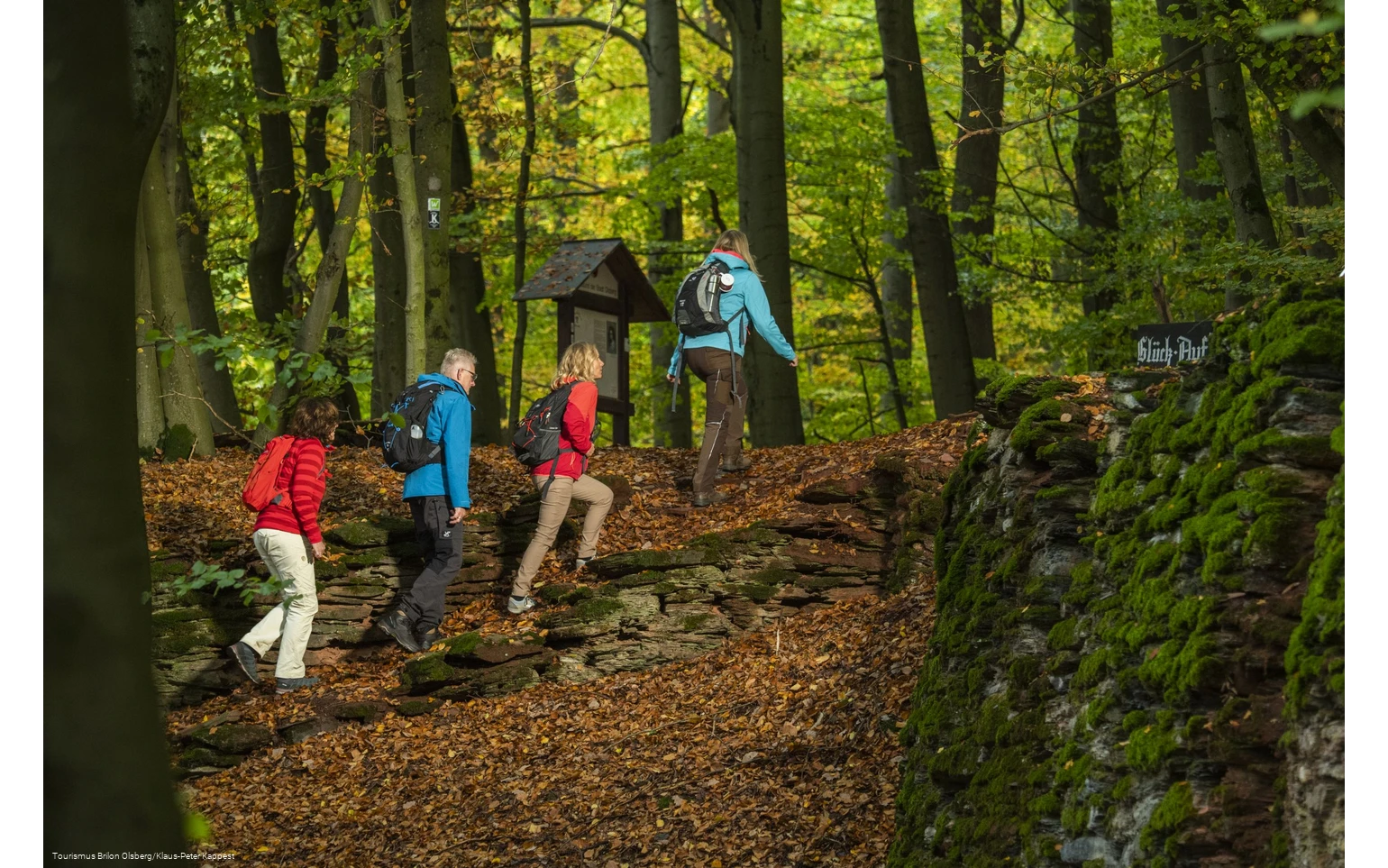 Hiking group