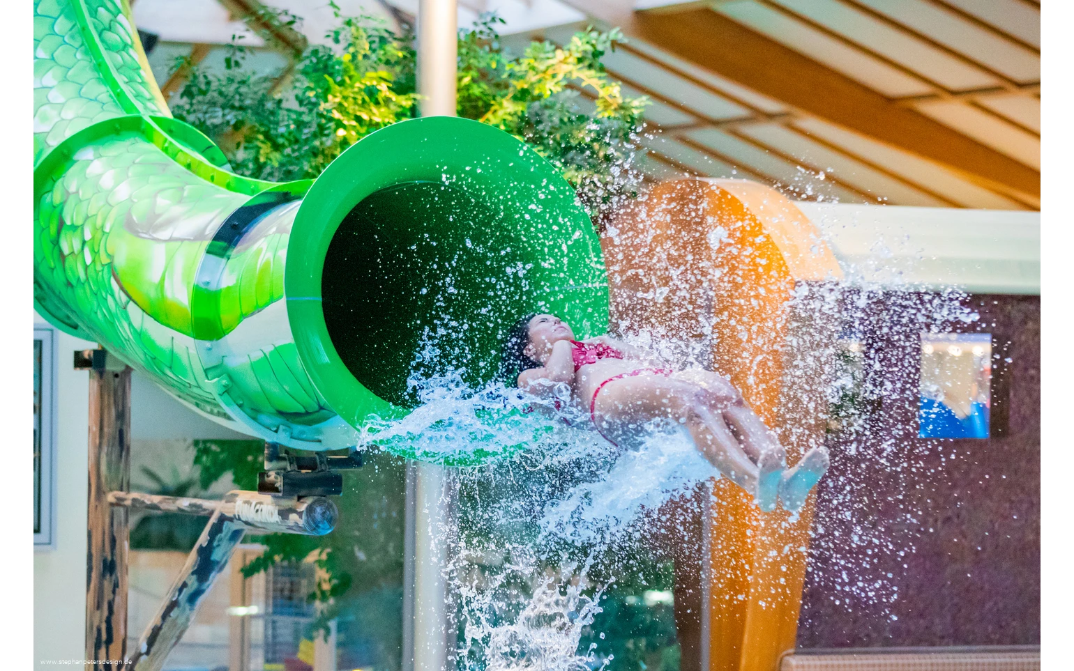 FunAconda (c) stephanpetersdesign.jpg