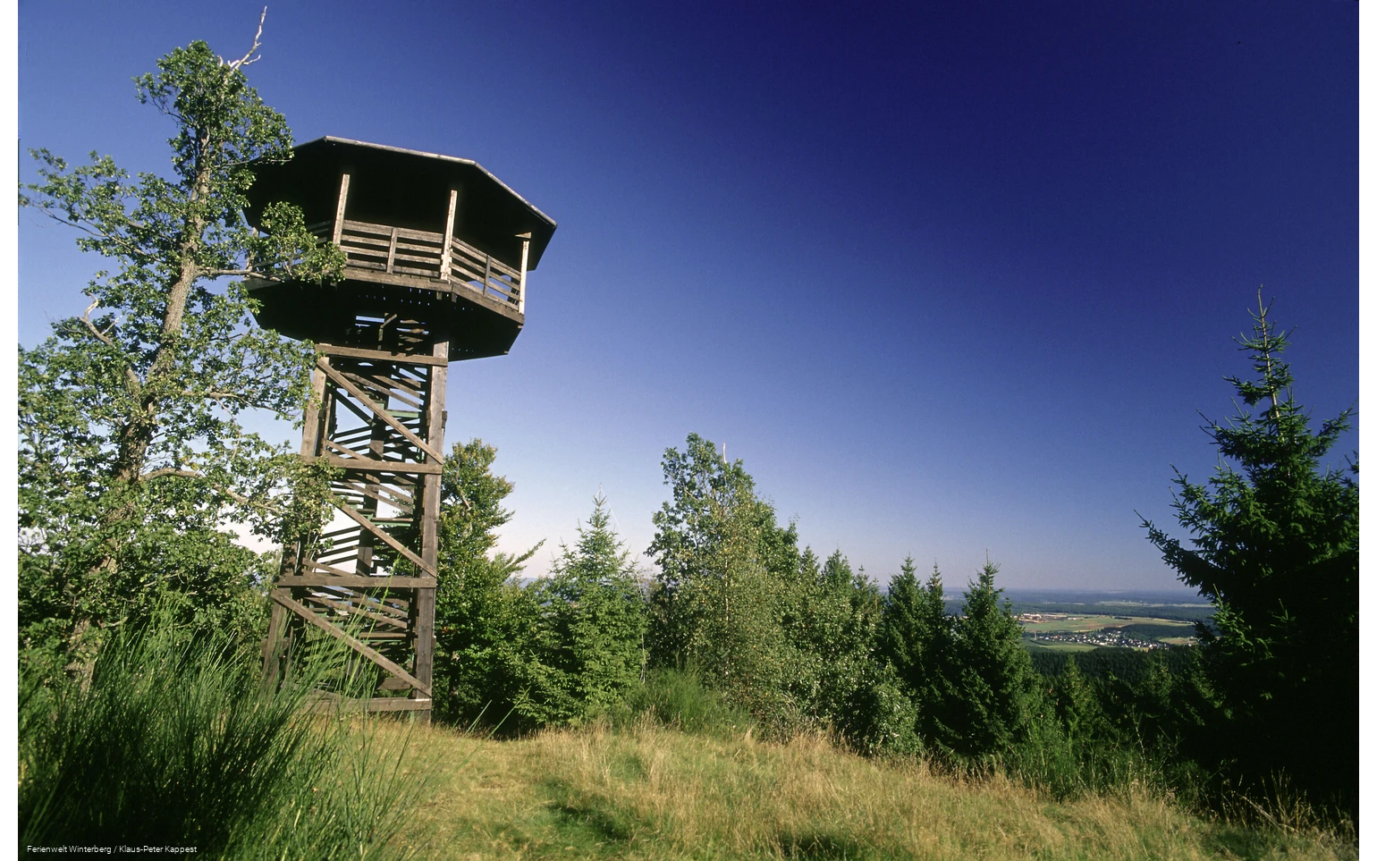 Großer Holzturm mit Dach zwischen Bäumen und Wiesen.