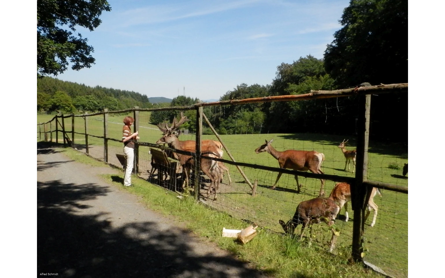 Wildgehege Dodenau