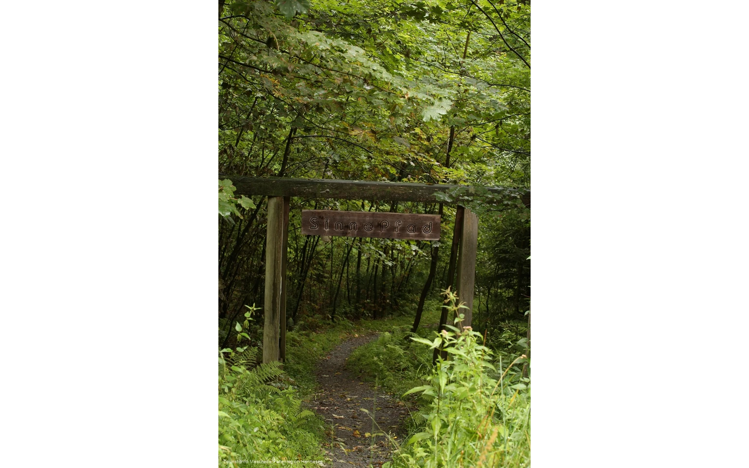 Eingang Sinnepfad