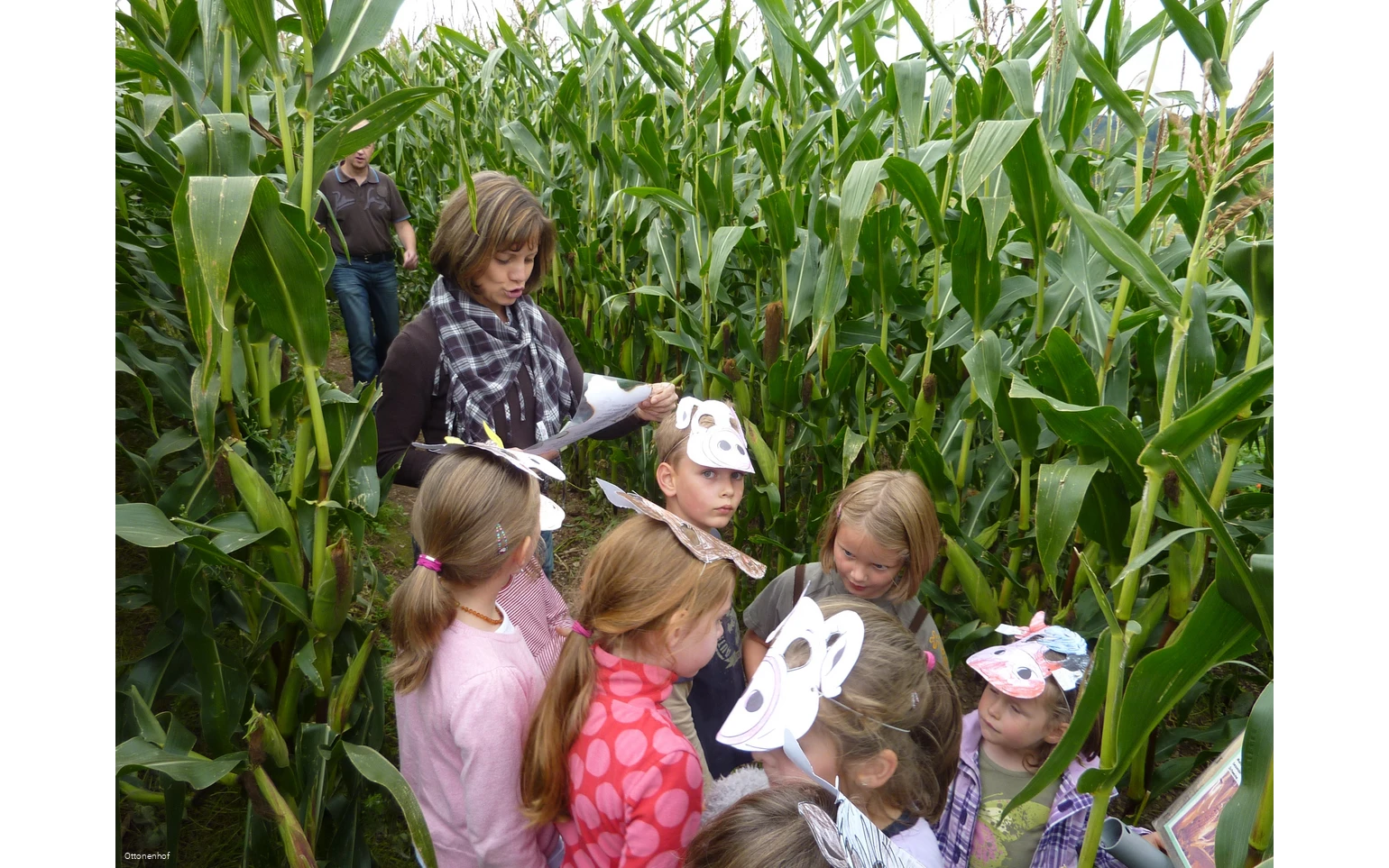 Ottonenhof Maislabyrinth