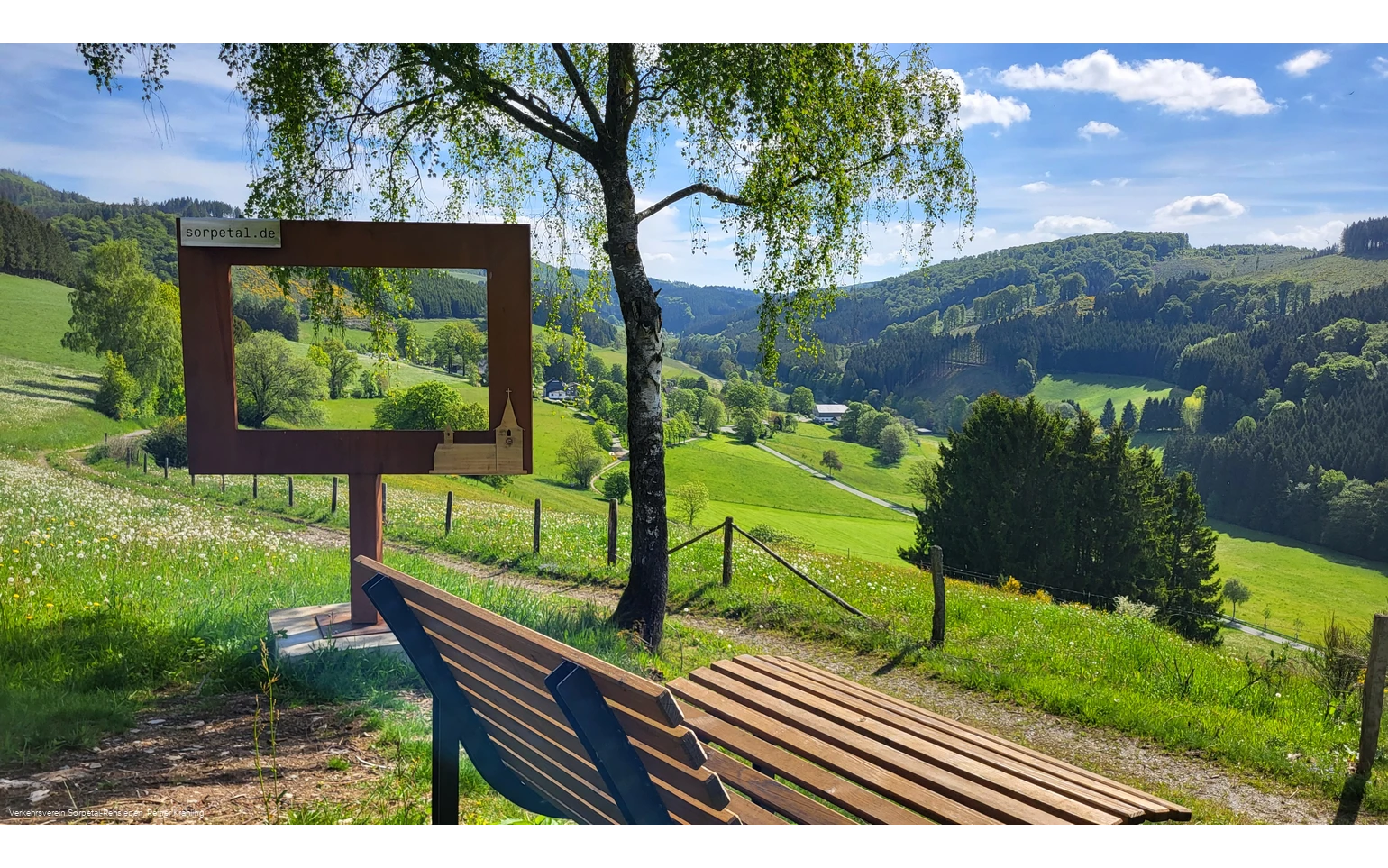 Bilderrahmen-Mittelsorpe.jpg