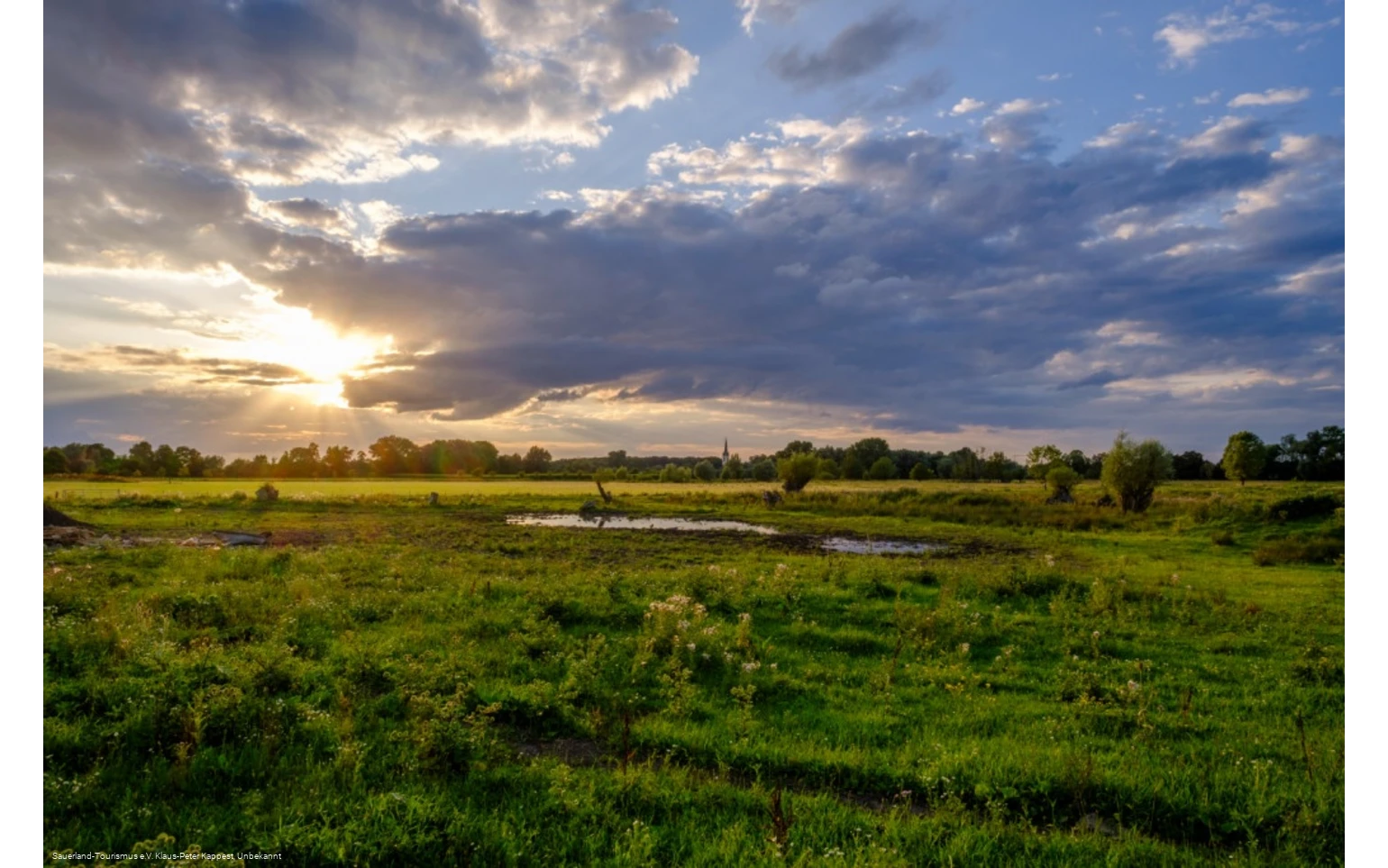 Naturschutzgebiet Woeste Bad Sassendorf