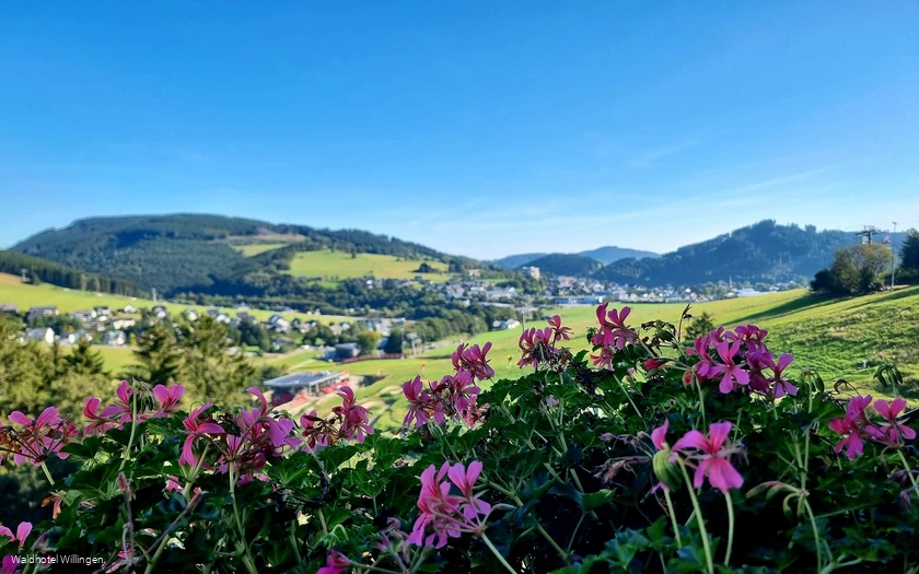 Waldhotel Willingen Aussicht 2.jpg Waldhotel Willingen Aussicht 2.jpg