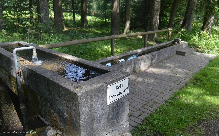 kneippanlage-waschkump6 c) tourist-information-willingen.jpg