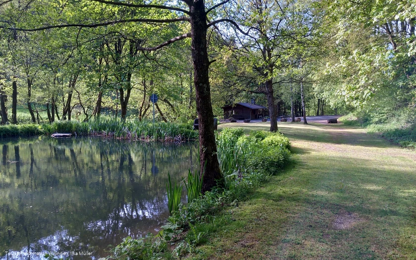 Weg um den Teich an der Grillstation Schwalefeld