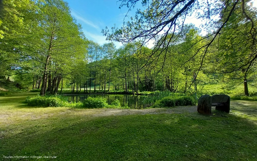 Teich mit Sitzbank an der Grillstation Schwalefeld