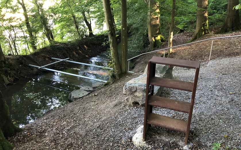 Kneippbecken 2.JPG