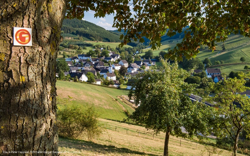 Bienenlehrpfad auf der Golddorf-Route Oberhenneborn