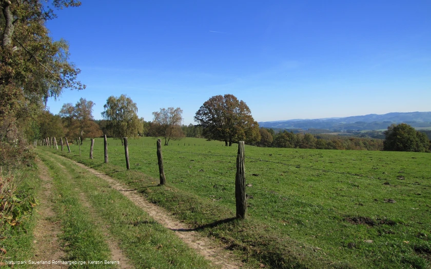 Aussicht bei Windhausen im Herbst