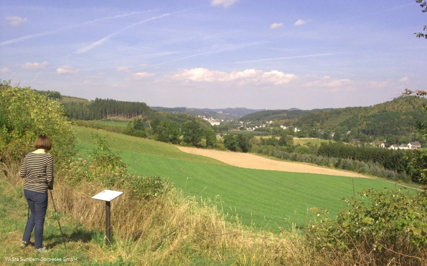 In der Eitmicke mit Blick auf Sundern