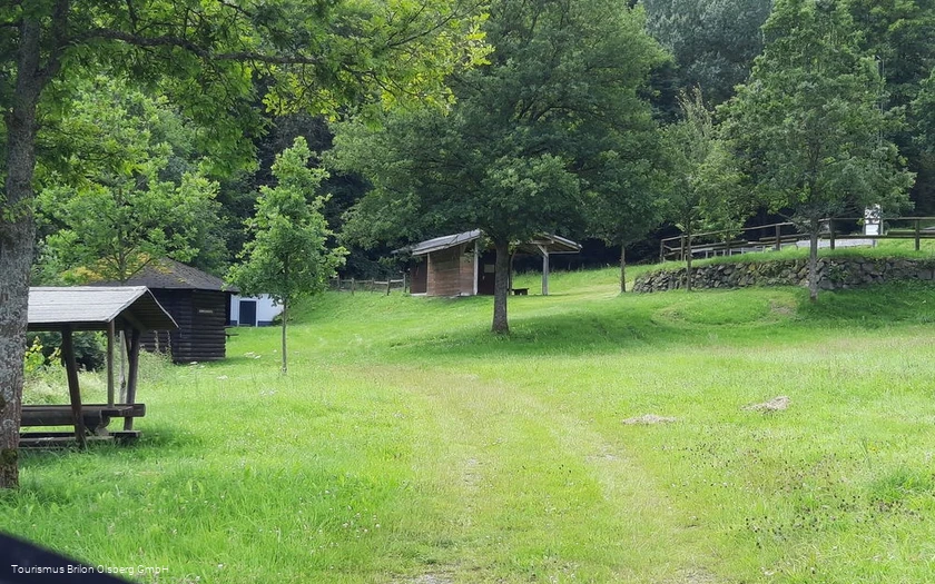 Tretbecken Elpe