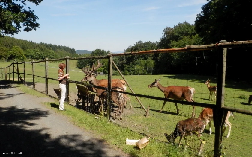 Wildgehege Dodenau