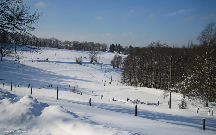 IMG_0266.jpg IMG_0266.jpg