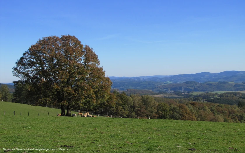 Aussicht bei Windhausen im Herbst