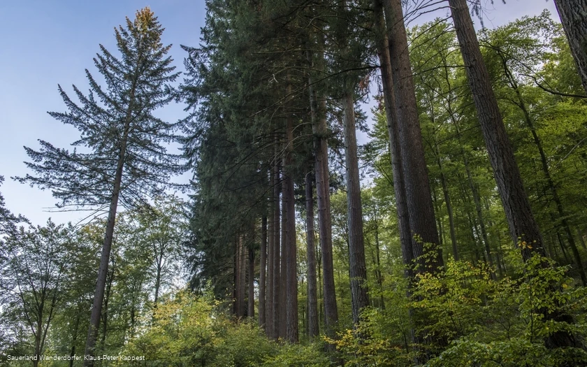Sauerland-Seelenort Himmelssäulen