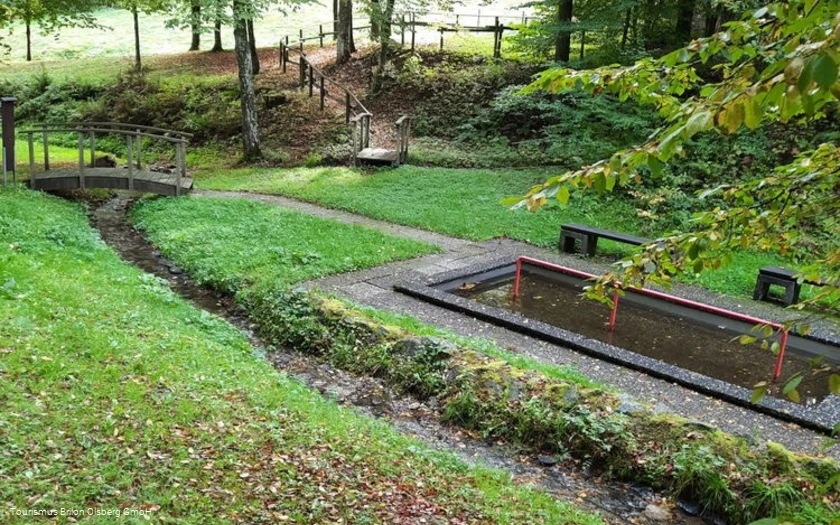 Tretbecken Wulmeringhausen