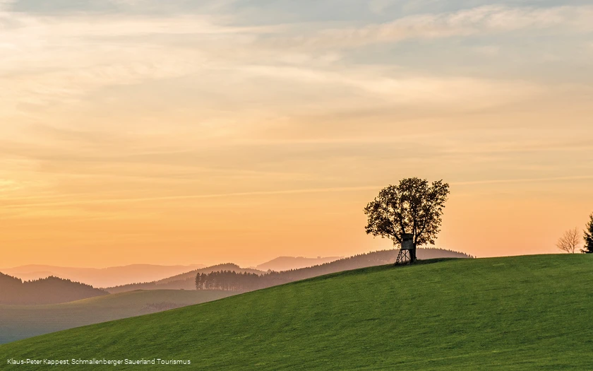 Landschaftspanorama auf dem Hömberg oberhalb von Oberhenneborn