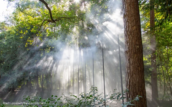 Nebelwald5©Stadt Lippstadt_Sandra Püttmann.jpg