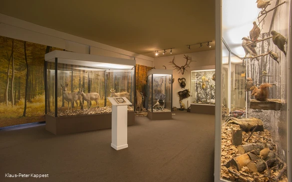 Zicht op het leisteenmijnmuseum in Holthausen