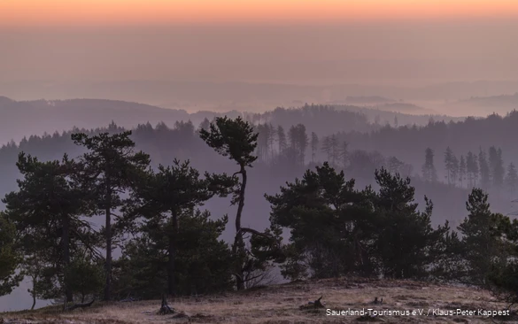Blick vom Osterkopf bei Willingen auf die Landschaft.